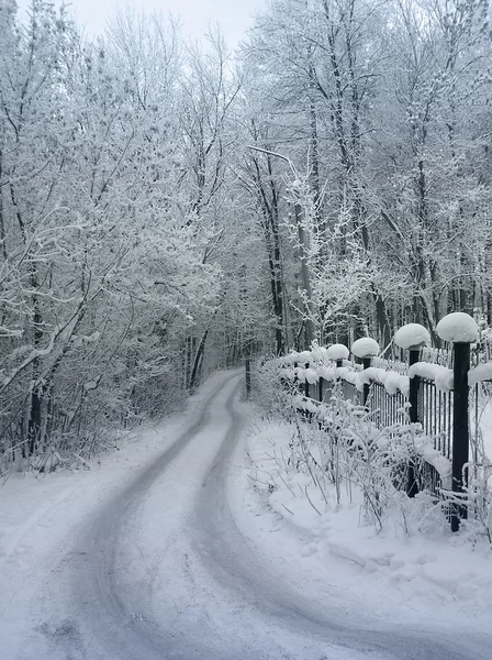 Winter road 3 — Stock Photo, Image