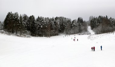 biathloncunun Köyü smets, verhovazhskogo district, vologda bölgesi, Rusya ve kayakçılar Merkezi.