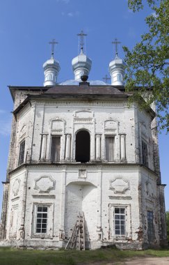 köy shelota, verhovazhskogo district, vologda bölgesi, Rusya, holy Trinity Kilisesi