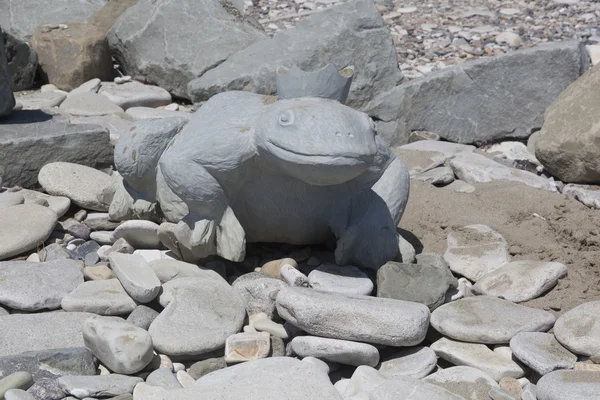 La rana princesa en la playa de Dederkoe — Foto de Stock