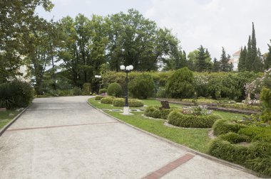 sanatoryum yeşil adam tuapse topraklarının