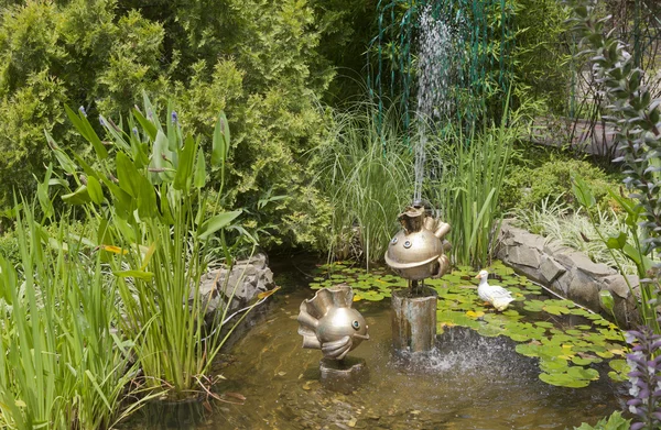 Goudvissen in het ontwerp van het landschap van pensioen groene man — Stockfoto