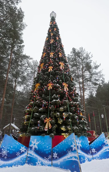 New Year tree in the birthplace of Father Frost — Stock Photo, Image