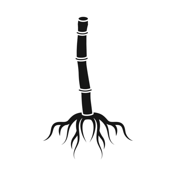 Векторний дизайн кореневого та цукрового символів. Графіка кореневої та тростини Векторна піктограма для запасів . — стоковий вектор