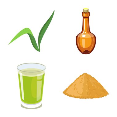 Şeker kamışı ve bitki ikonunun izole nesnesi. Şeker kamışı ve tarım stoku vektör illüstrasyonu koleksiyonu.