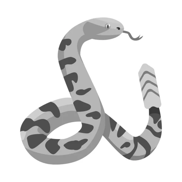 Objeto isolado de serpente e símbolo python. Gráfico do ícone do vetor serpente e rastejante para estoque. — Vetor de Stock