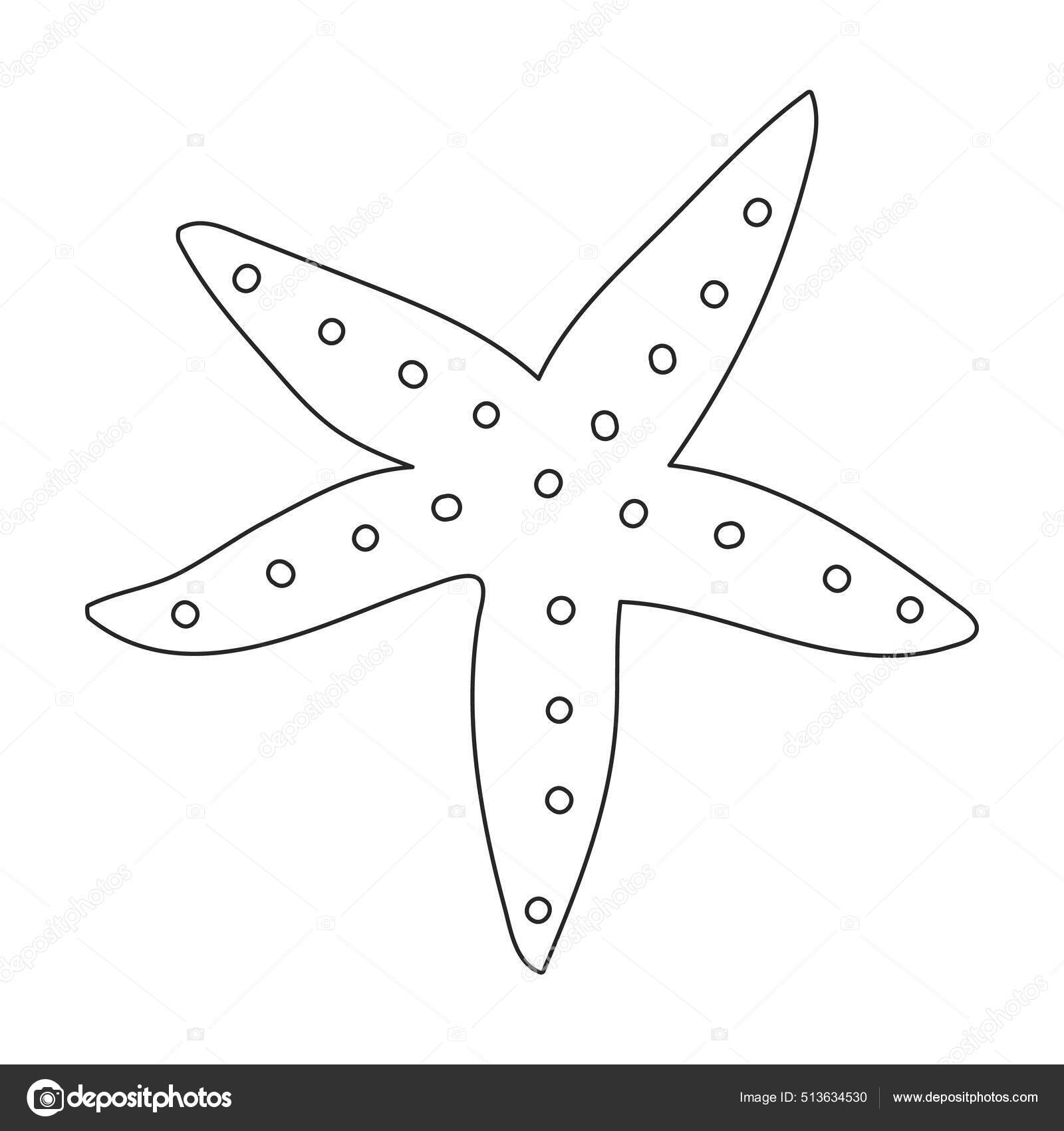 Drawing Biology Star Coloring book, estrela do mar, white, biology 