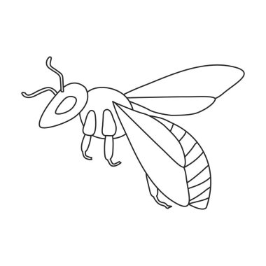 Bal arısı vektör ana hatları simgesi. Beyaz arka planda bal arısının vektör illüstrasyon hayvanı. İzole edilmiş ana hatlı bal arısı çizimi simgesi.