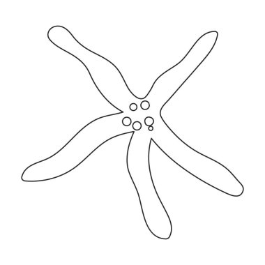 Deniz yıldızı vektör ana hatları simgesi. Beyaz arka planda vektör çizimi yıldız denizi. Deniz yıldızının izole edilmiş tasviri ikonu .