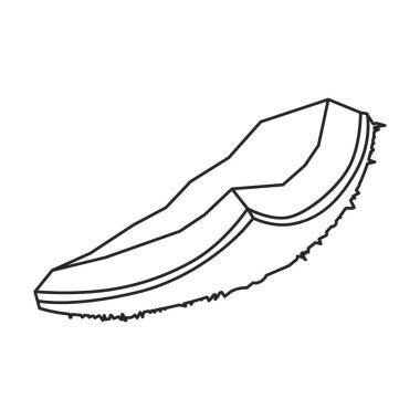 Parça hindistan cevizi vektör simgesi. Beyaz arkaplan parçasında izole edilmiş ana vektör simgesi.