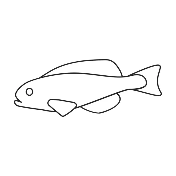 Tropical fish vector outline icon. Vector illustration exotic aunafish on white background. Isolated outline illustration icon of tropical fish . — Stock Vector