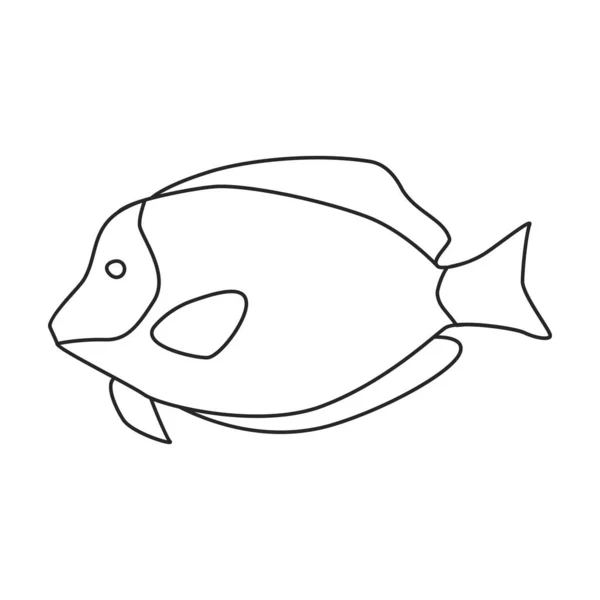 Tropical fish vector outline icon. Vector illustration exotic aunafish on white background. Isolated outline illustration icon of tropical fish . — Stock Vector