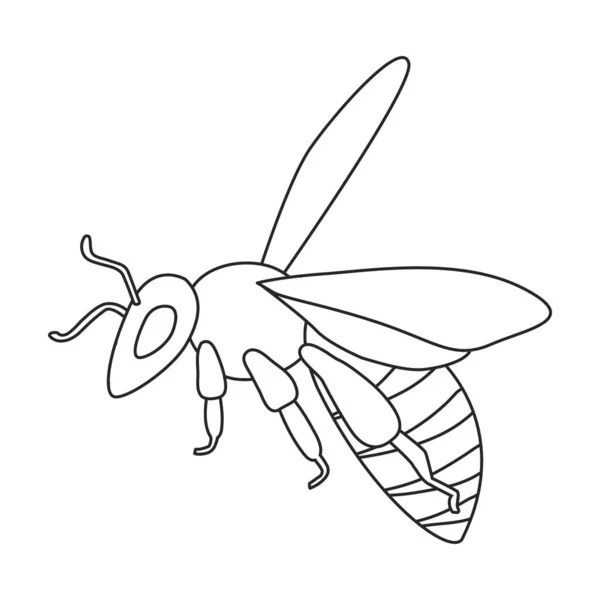 Miel icono de contorno de abeja vector. Ilustración vectorial animal de abeja sobre fondo blanco. Icono de ilustración de esquema aislado de la abeja melífera. — Vector de stock