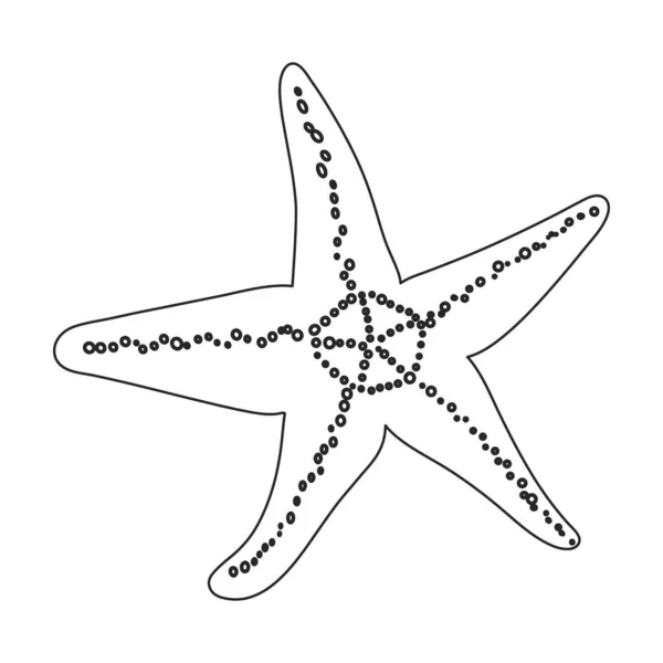 Icono del contorno de estrellas de mar vector. Ilustración vectorial mar estrellado sobre fondo blanco. Icono de ilustración de contorno aislado de estrellas de mar . — Vector de stock