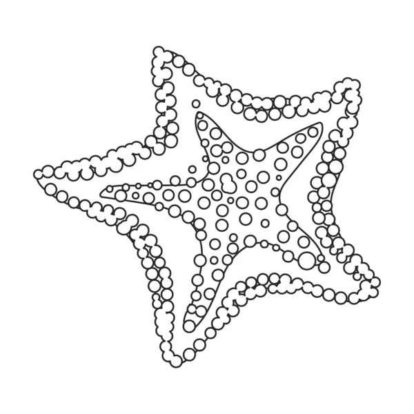 Icona del profilo vettoriale delle stelle marine. Illustrazione vettoriale stella mare su sfondo bianco. Isolato schema illustrazione icona di stelle marine . — Vettoriale Stock