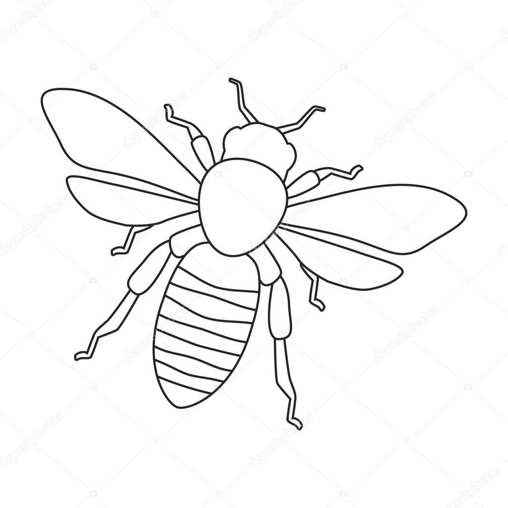Honey bee vector outline icon. Vector illustration animal of honeybee on white background. Isolated outline illustration logo of honey bee.