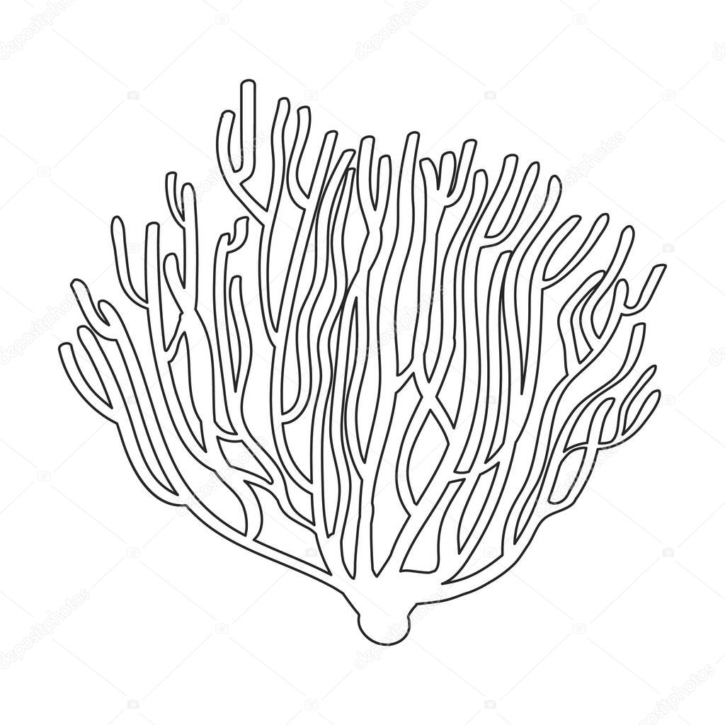 Coral vector outline icon. Vector illustration reef of sea on white background. Isolated outline illustration logo of coral reef .