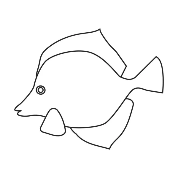 Tropical fish vector outline icon. Vector illustration exotic aunafish on white background. Isolated outline illustration icon of tropical fish . — Stock Vector