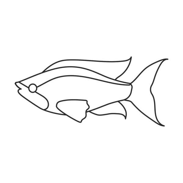 Tropical fish vector outline icon. Vector illustration exotic aunafish on white background. Isolated outline illustration icon of tropical fish . — Stock Vector