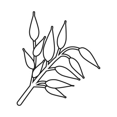 Yulaf ve tahıl logosu izole edilmiş. Ağ için yulaf ve yemek stoku sembolü koleksiyonu.