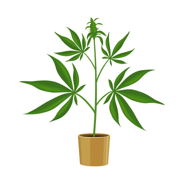 Векторная иллюстрация марихуаны и логотипа горшка. Веб-элемент векторной иллюстрации марихуаны и конопли. — стоковый вектор