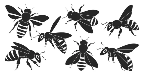 Медовая пчела изолированный черный набор значок. Векторная иллюстрация животного медоносной пчелы на белом фоне. Черный векторный медовый набор . — стоковый вектор