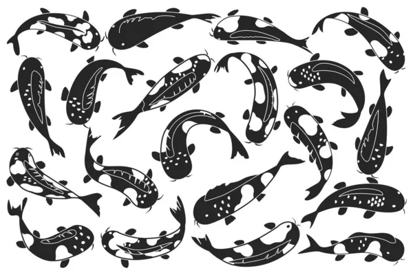 Carpe asiatique vecteur noir ensemble icône. Illustration vectorielle poisson sur fond blanc. Ensemble noir icône carpe japonaise. — Image vectorielle