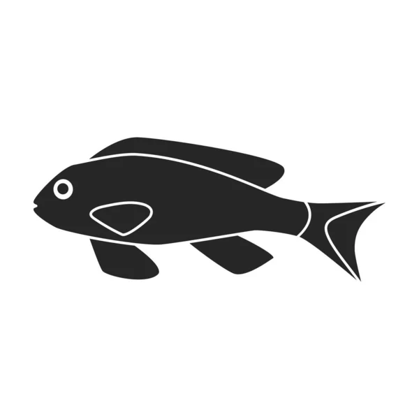 Tropical fish vector black icon. Vector illustration exotic aunafish on white background. Isolated black illustration icon of tropical fish . — Stock Vector