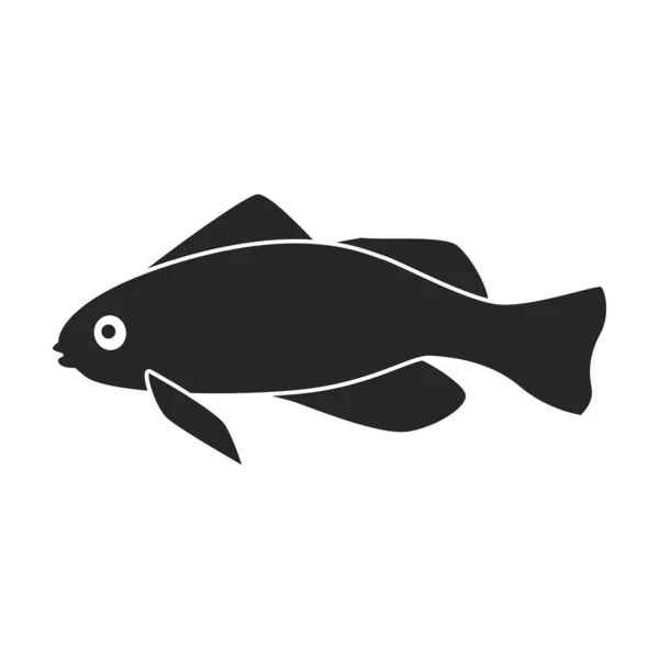 Tropical fish vector black icon. Vector illustration exotic aunafish on white background. Isolated black illustration icon of tropical fish . — Stock Vector