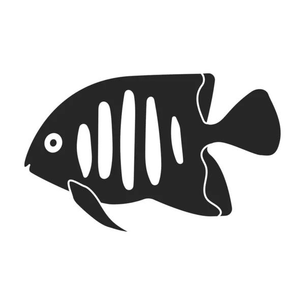 Vector de peces tropicales icono negro. Ilustración vectorial exótica aunafish sobre fondo blanco. Icono de ilustración en negro aislado de peces tropicales . — Vector de stock