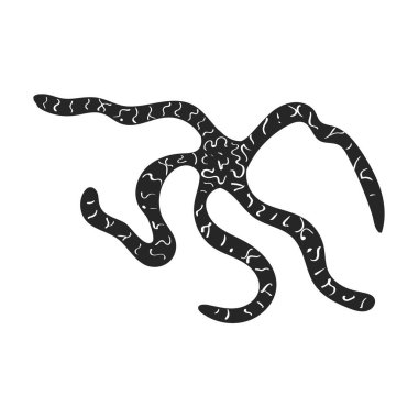 Deniz yıldızı vektörü siyah ikon. Beyaz arka planda vektör çizimi yıldız denizi. Deniz yıldızının izole edilmiş siyah çizim simgesi .