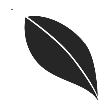 Yaprak avokado vektör simgesi. Siyah vektör logosu beyaz arka plan yapraklı avokado üzerinde izole edilmiş..