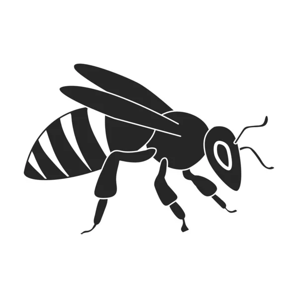 Ícone preto vetor abelha mel. Ilustração vetorial animal de abelha no fundo branco. Ícone de ilustração preto isolado de abelha mel. —  Vetores de Stock