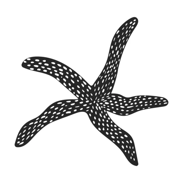 Sea starfish vector black icon. Vector illustration star sea on white background. Isolated black illustration icon of sea starfish . — Stock Vector