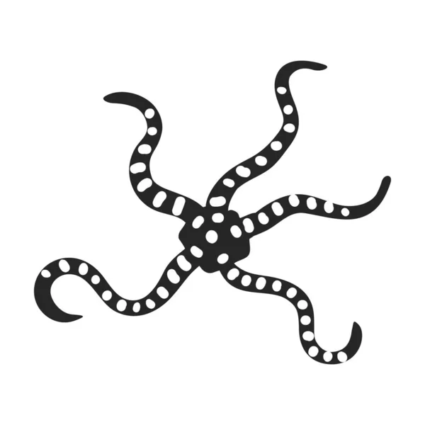 Sea starfish vector black icon. Vector illustration star sea on white background. Isolated black illustration icon of sea starfish . — Stock Vector