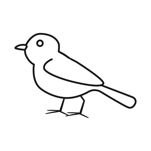 Векторний дизайн піктограми птаха і назви. Колекція птахів та синиць Векторні ілюстрації . — стоковий вектор