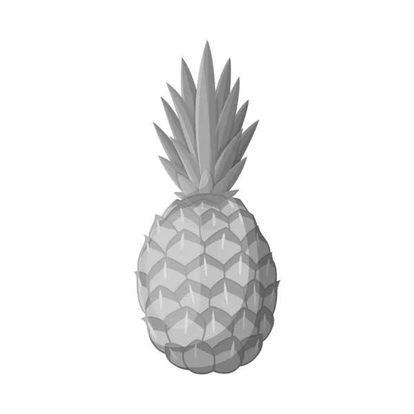 Ananas ve vitamin işaretlerinin vektör tasarımı. Stok için ananas ve tropikal vektör simgesi grafiği. — Stok Vektör