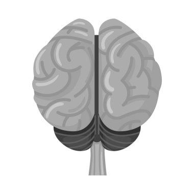 Serebrum ve yarımküre işaretlerinde izole bir nesne. Serebrum ve gyri stok vektör çizelgesinin grafiği.