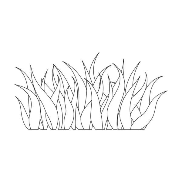 Ikona vektoru trávy.Obrys vektor ikona izolované na bílém pozadí trávy. — Stockový vektor