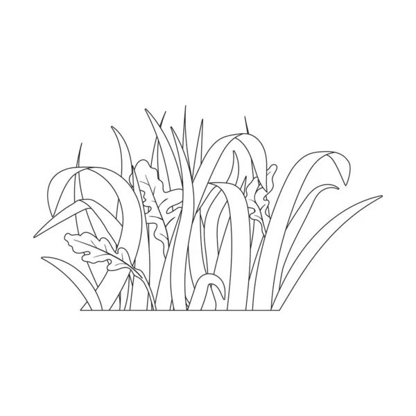 Grass vector icon.Outline vector icon isolated on white background grass. — 스톡 벡터
