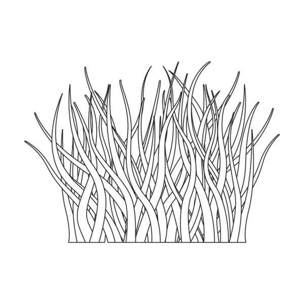 草のベクトルアイコン白い背景の草の上に孤立した輪郭ベクトルアイコン. — ストックベクタ