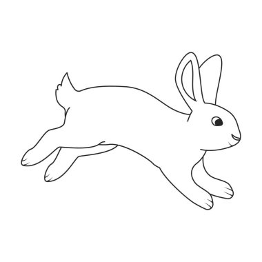 Tavşan vektör simgesi. Beyaz arkaplan tavşanı üzerinde izole edilmiş dış hat vektör simgesi.