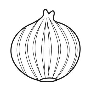 Soğan ve ampul ikonunun vektör çizimi. Soğan ve taze stok vektör illüstrasyonunun web ögesi.