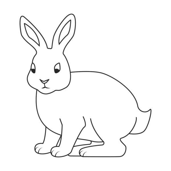 兔子矢量图标.白色背景兔子上分离的轮廓矢量图标. — 图库矢量图片
