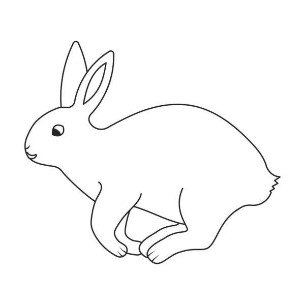 Tavşan vektör simgesi. Beyaz arkaplan tavşanı üzerinde izole edilmiş dış hat vektör simgesi. — Stok Vektör