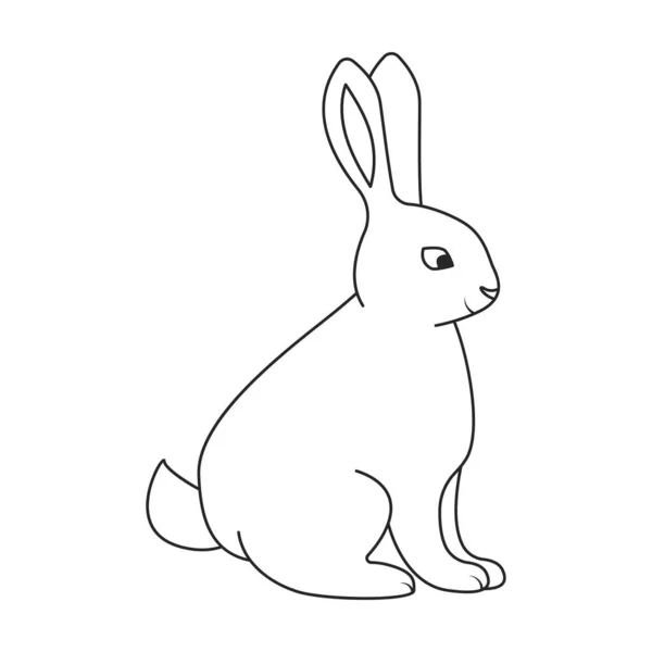 Tavşan vektör simgesi. Beyaz arkaplan tavşanı üzerinde izole edilmiş dış hat vektör simgesi. — Stok Vektör