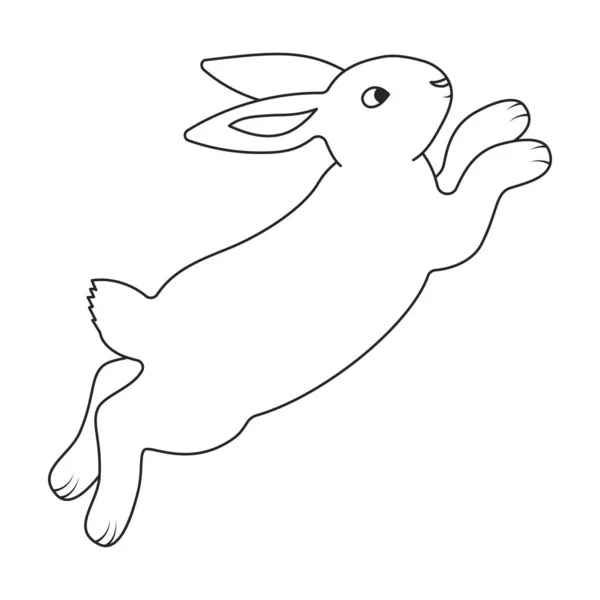 Rabbit vector icon.Outline vector icon isolated on white background rabbit. — Stock Vector