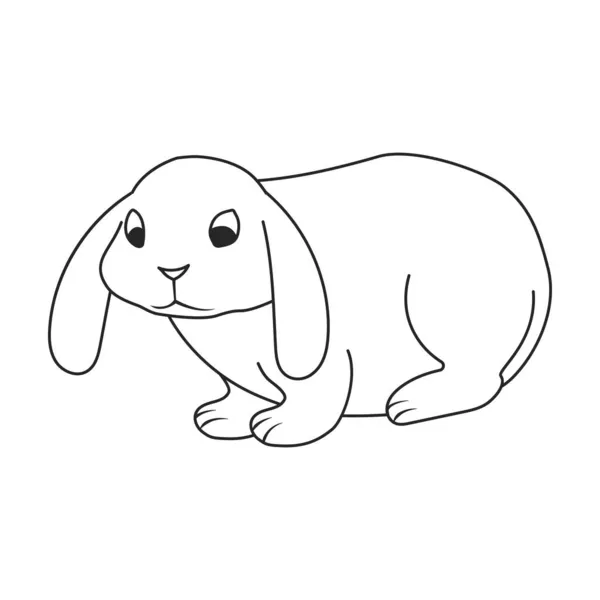 ウサギのベクトルアイコン白地に孤立した輪郭ベクトルアイコンウサギ. — ストックベクタ