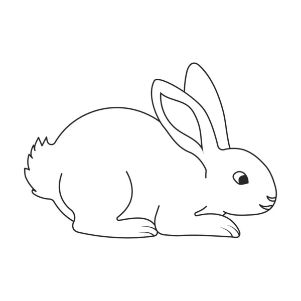 토끼 벡터 icon.Outline vector icon 흰색 배경 토끼에 분리. — 스톡 벡터