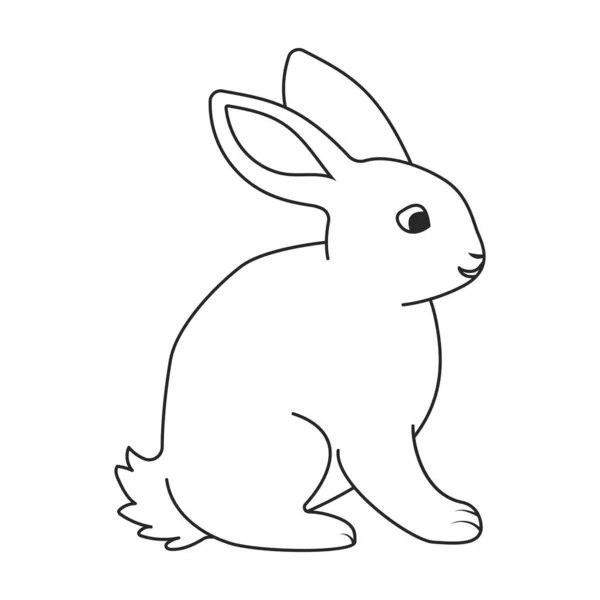 Ikona wektora królika.Ikona wektora zarysu izolowana na białym tle królika. — Wektor stockowy